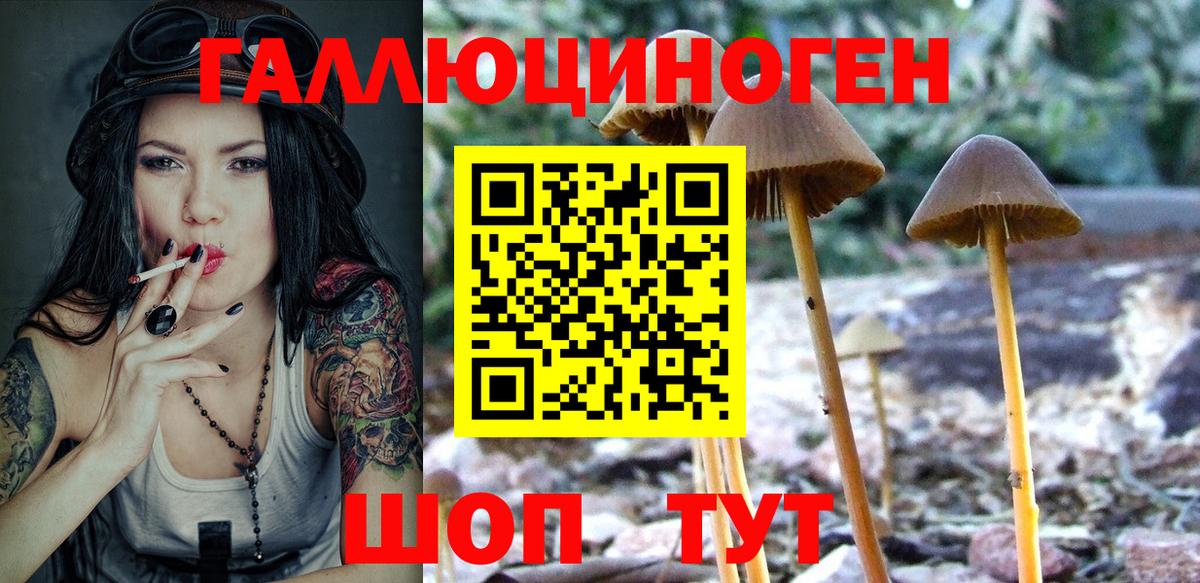 Кизляр  где найти наркотики  Вход с VPN  Галлюциногенные грибы Psilocybe 